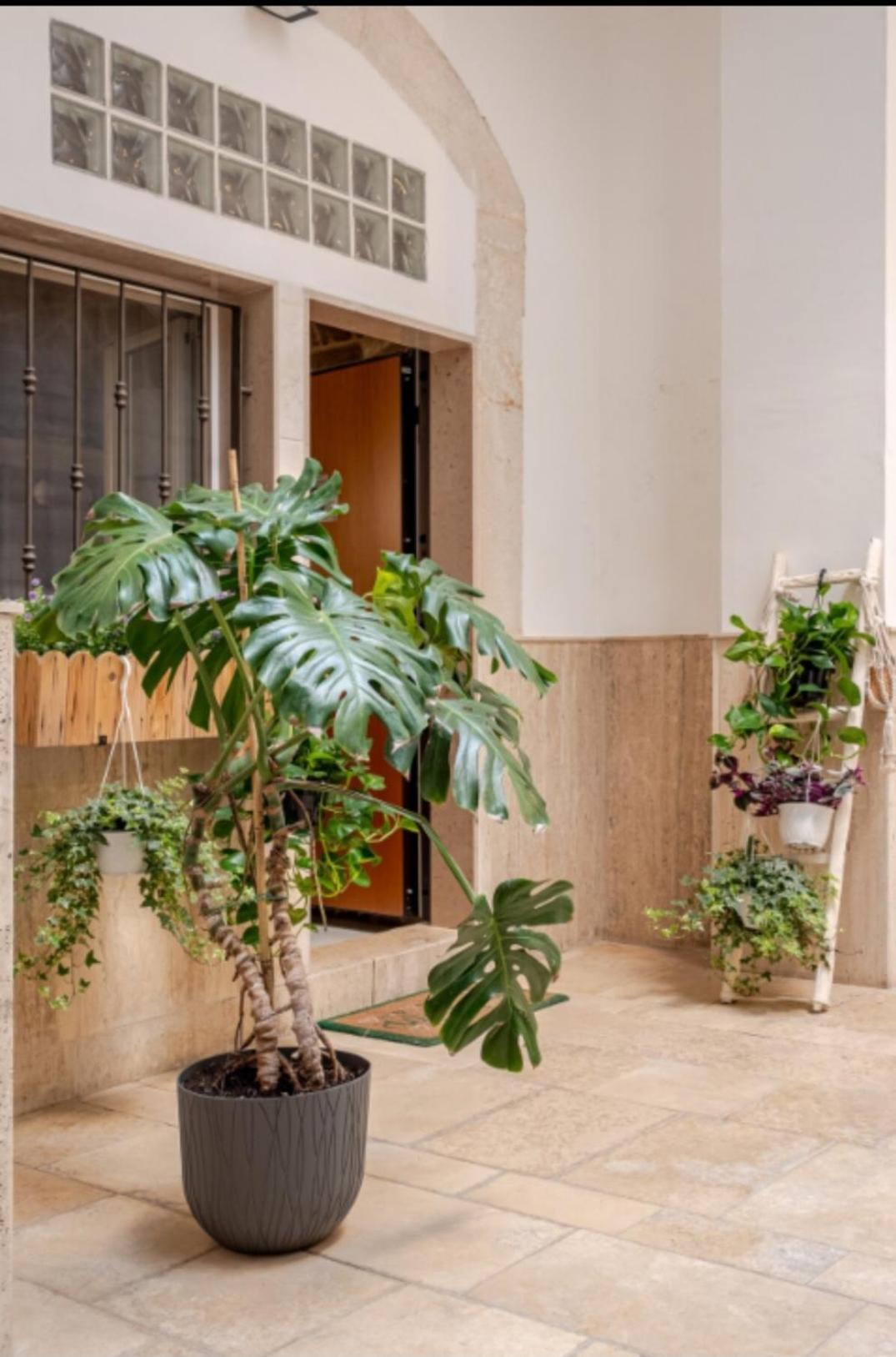 Appartement Lullaby Bari
