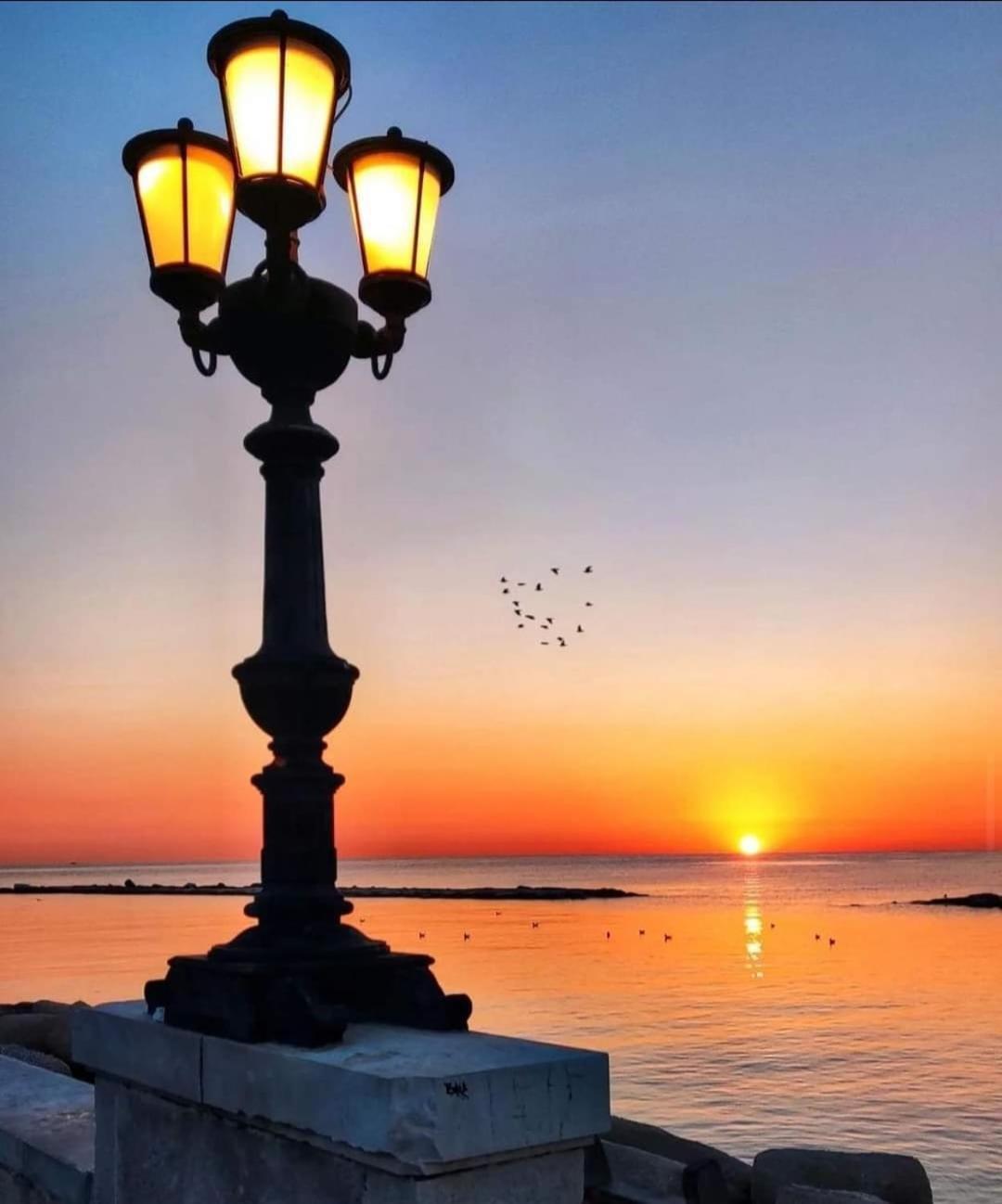 Lullaby Apartament *